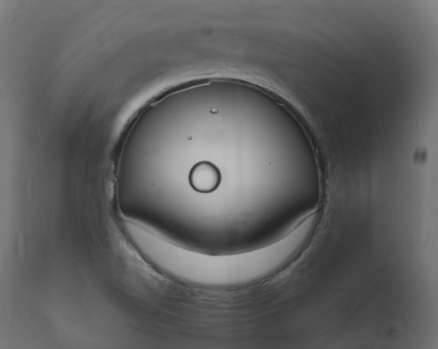 X0000110731510200906261506