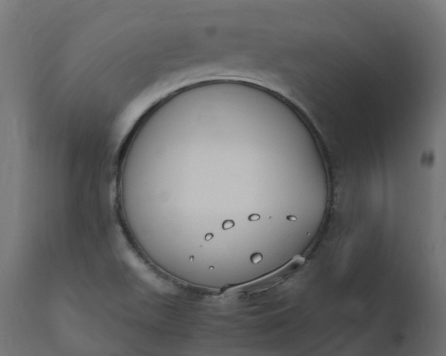 X0000110731511200906261506