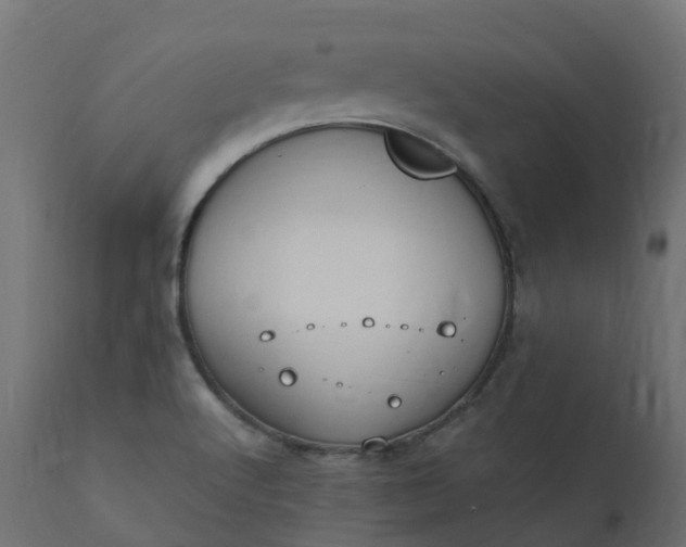 X0000110731512200906261506