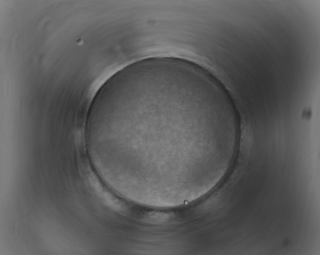 X0000110731513200906261507