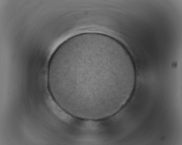 X0000110731514200906261507