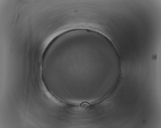 X0000110731515200906261507