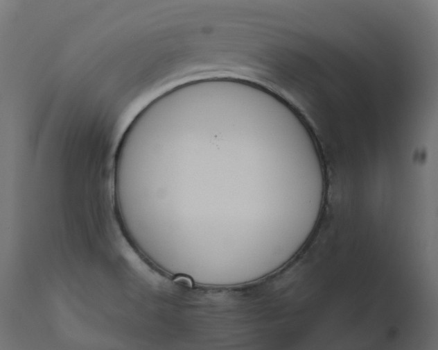 X0000110731516200906261507