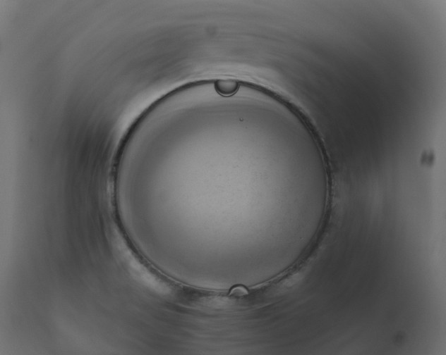 X0000110731517200906261507