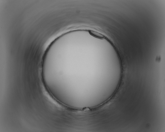 X0000110731518200906261507