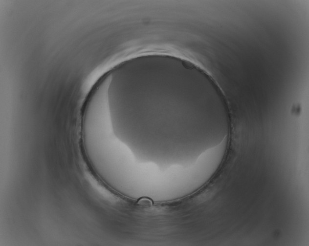 X0000110731519200906261507