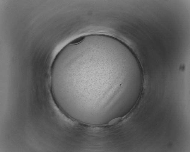 X0000110731520200906261507