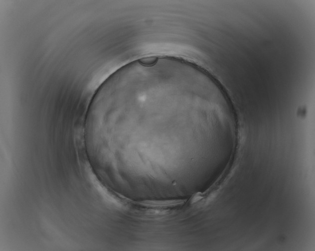 X0000110731521200906261507