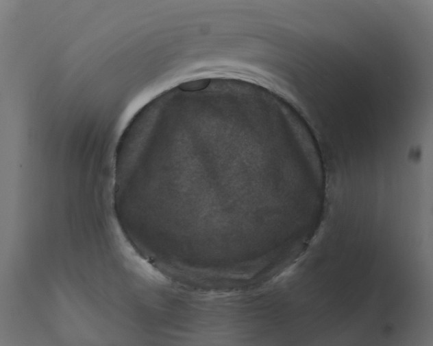 X0000110731522200906261507