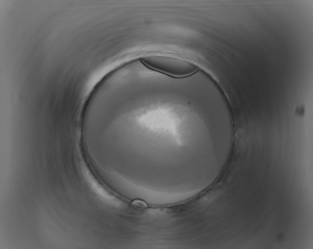 X0000110731523200906261507