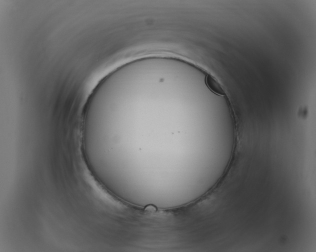 X0000110731526200906261507