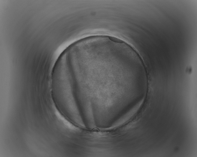 X0000110731527200906261507