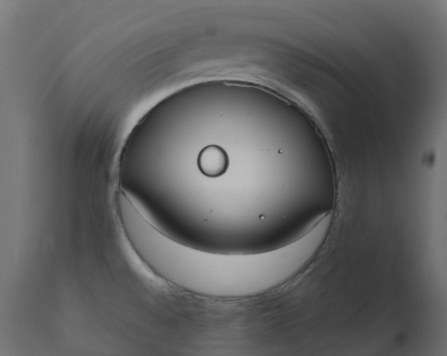 X0000110731528200906261507