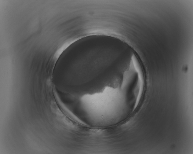 X0000110731529200906261507