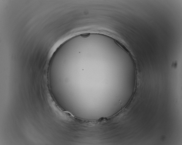 X0000110731530200906261507