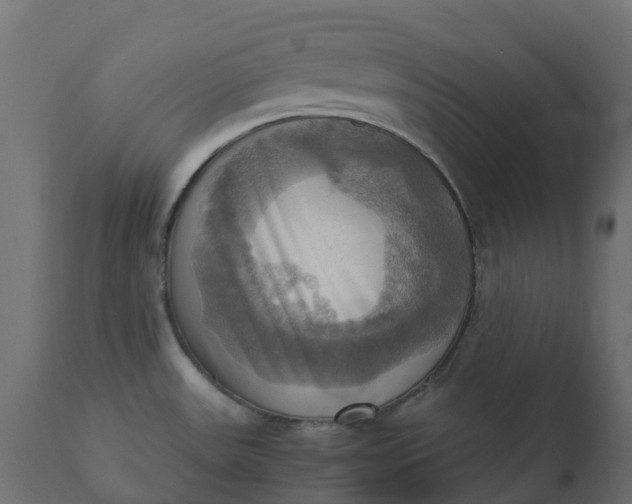 X0000110731531200906261507