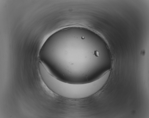 X0000110731532200906261507