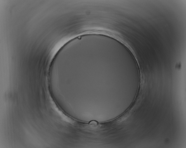 X0000110731533200906261507