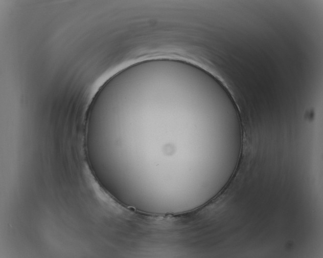 X0000110731534200906261507