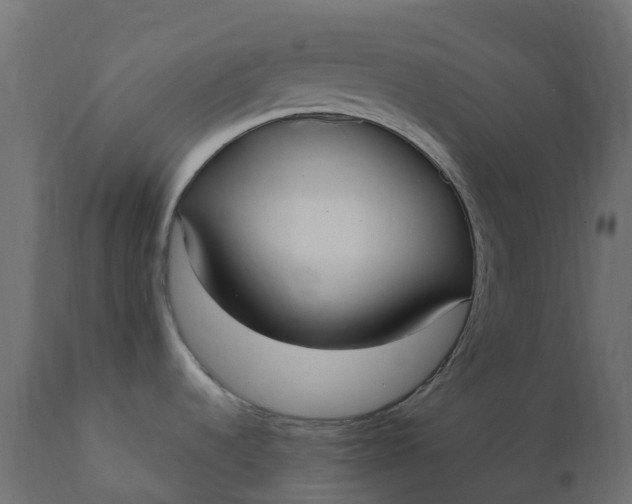 X0000110731536200906261507