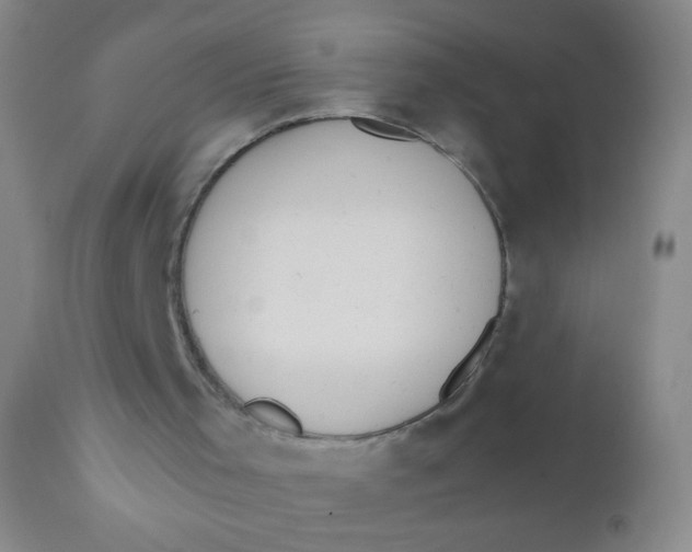 X0000110730001200907022121