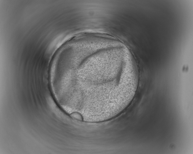 X0000110730002200907022121