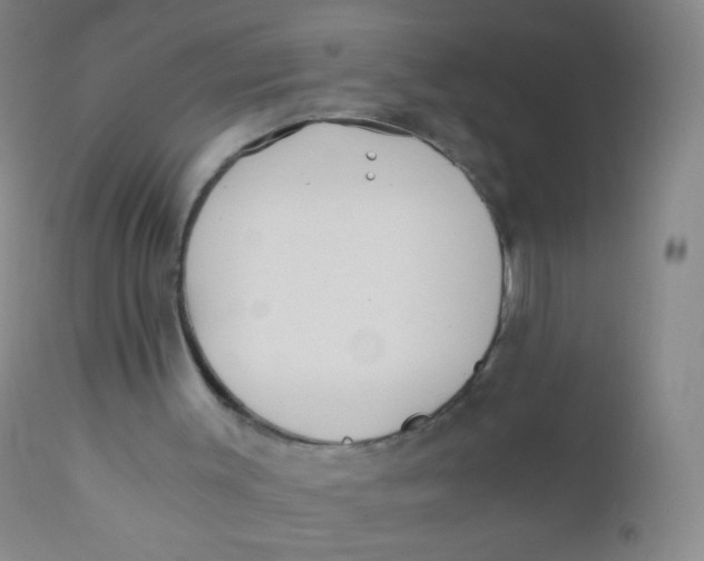 X0000110730003200907022121