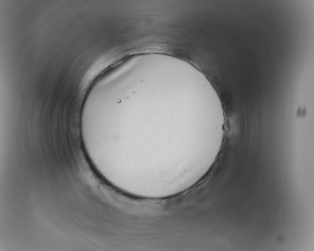 X0000110730004200907022121