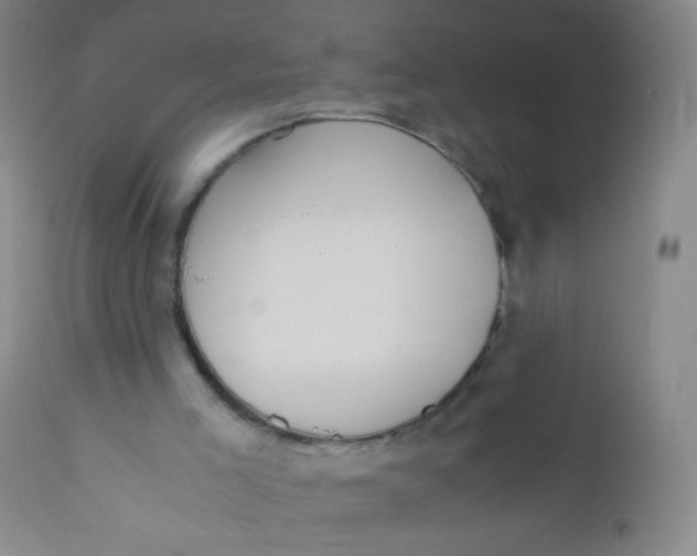 X0000110730005200907022121