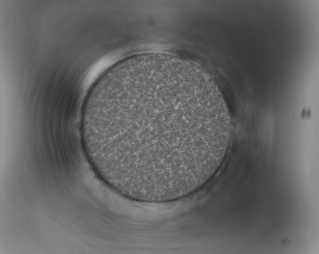 X0000110730006200907022121