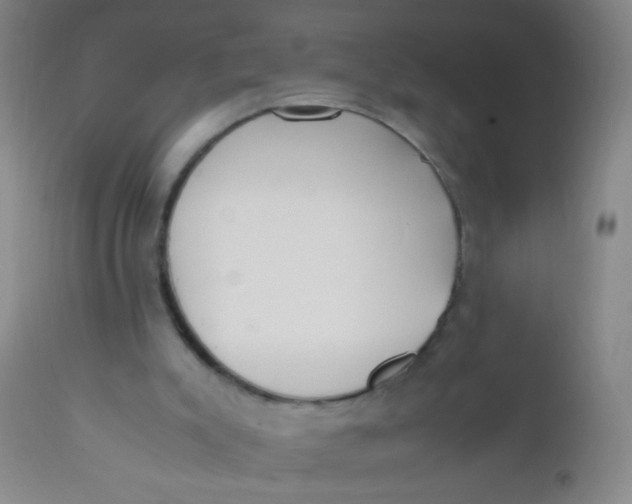 X0000110730007200907022121