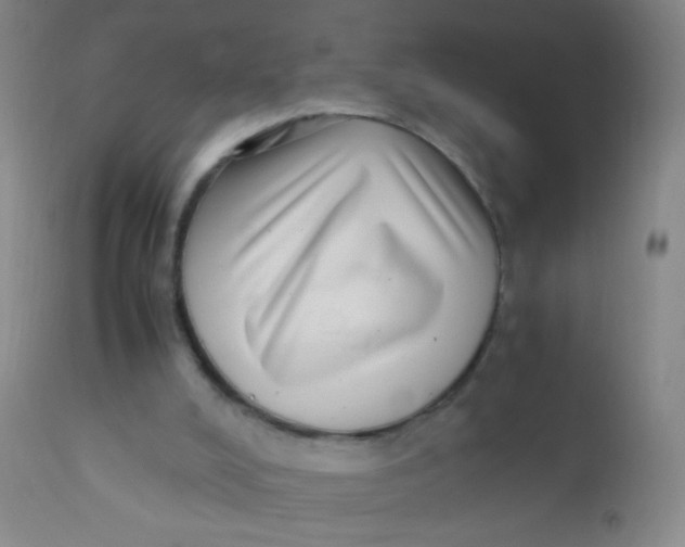 X0000110730008200907022121