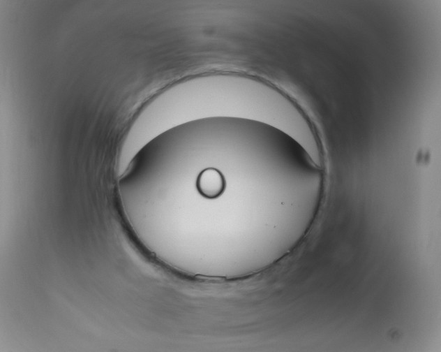 X0000110730009200907022121