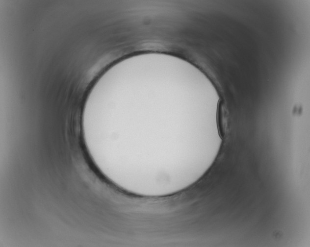 X0000110730011200907022121