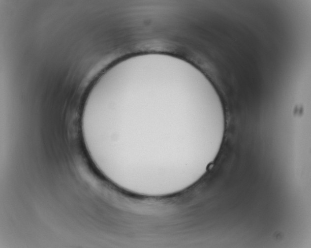 X0000110730012200907022121