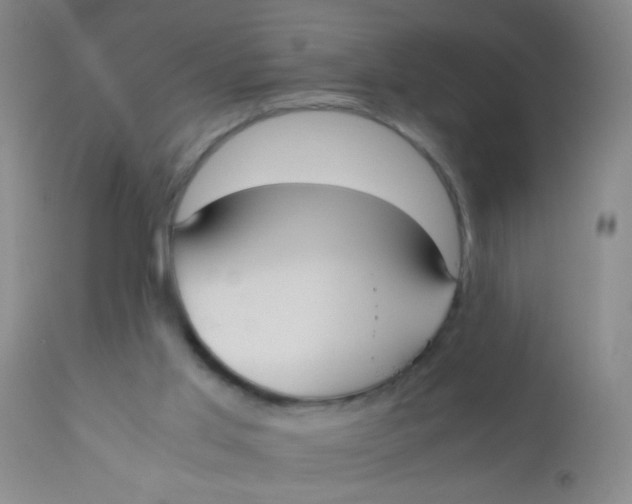 X0000110730013200907022121