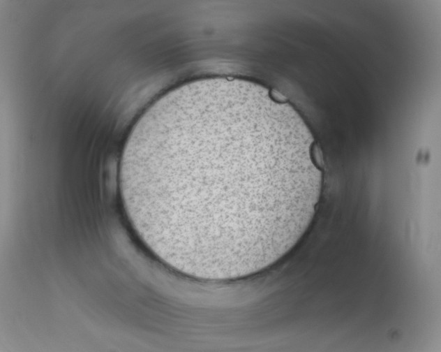 X0000110730014200907022121