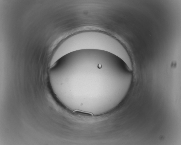 X0000110730015200907022121