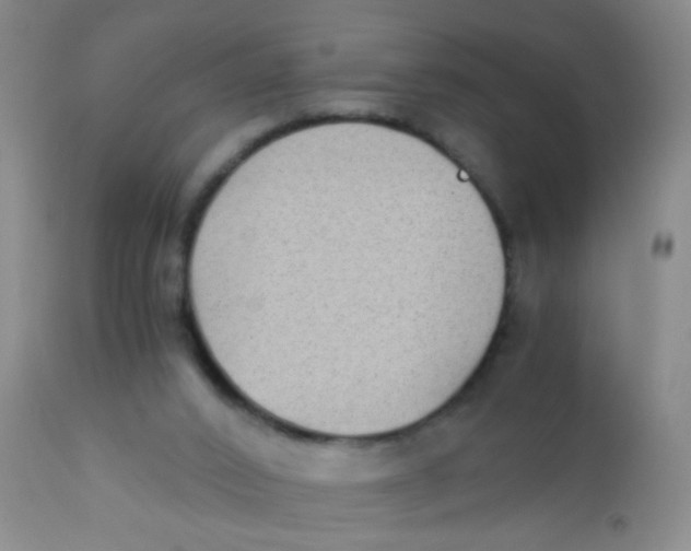 X0000110730016200907022121