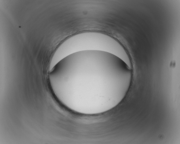 X0000110730017200907022121