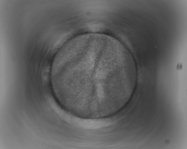 X0000110730018200907022121