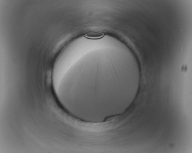 X0000110730019200907022121