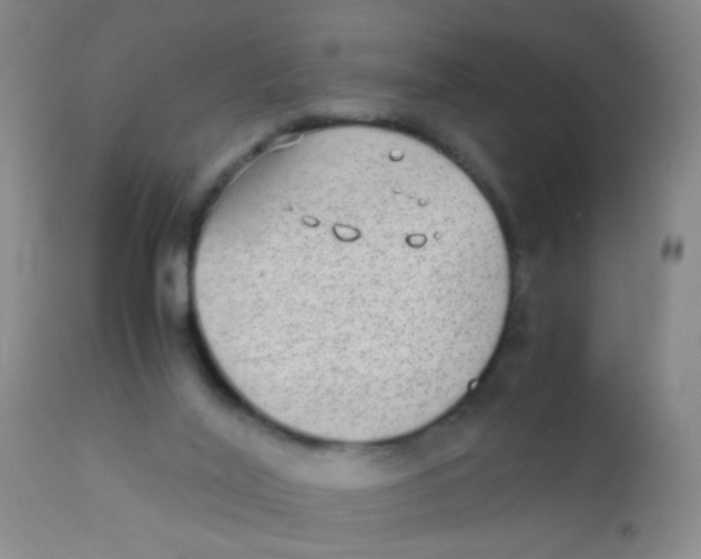 X0000110730020200907022121