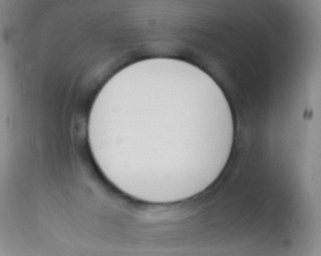 X0000110730021200907022121