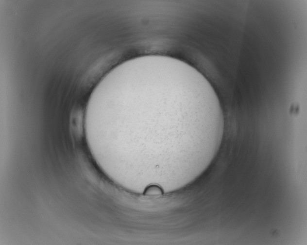 X0000110730022200907022121