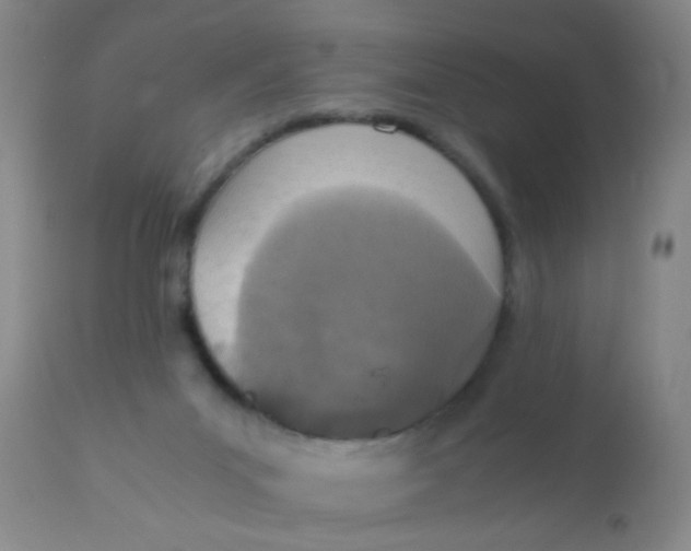 X0000110730023200907022121