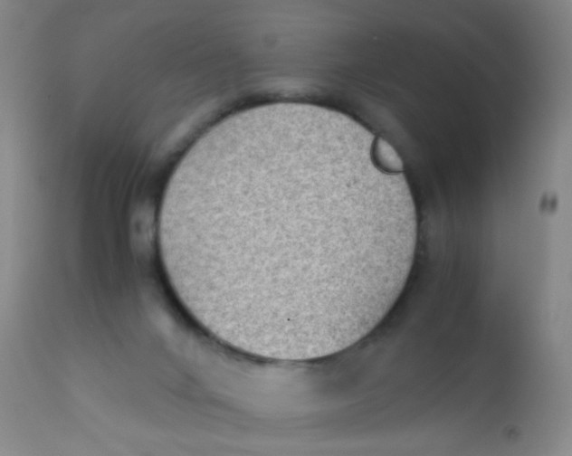 X0000110730024200907022121