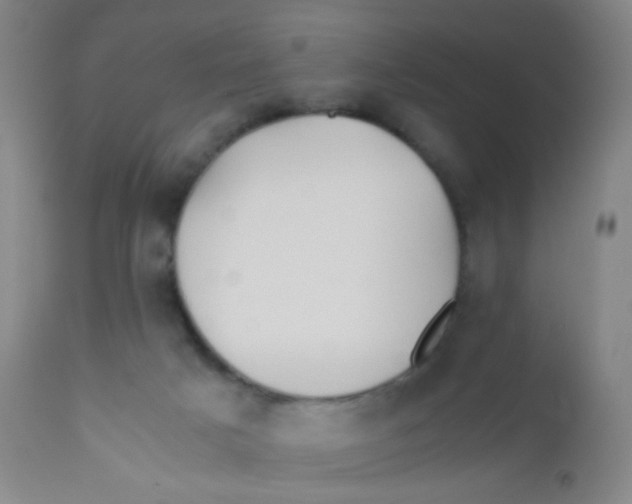 X0000110730025200907022121