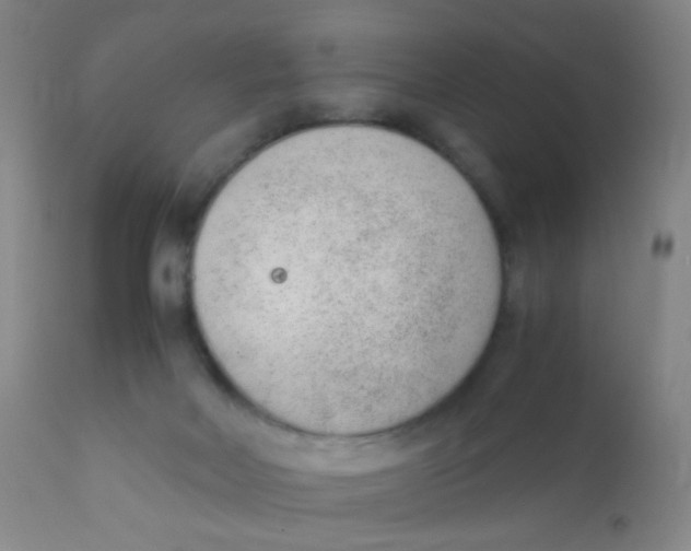 X0000110730026200907022121