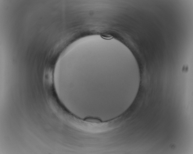 X0000110730027200907022121